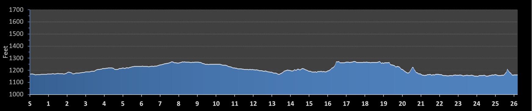 Rock n Roll Arizona Marathon Elevation Profile